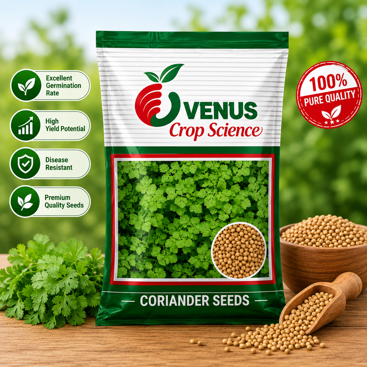 Morocco Coriander seeds